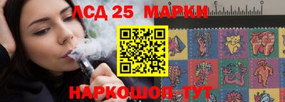 индика Бердск