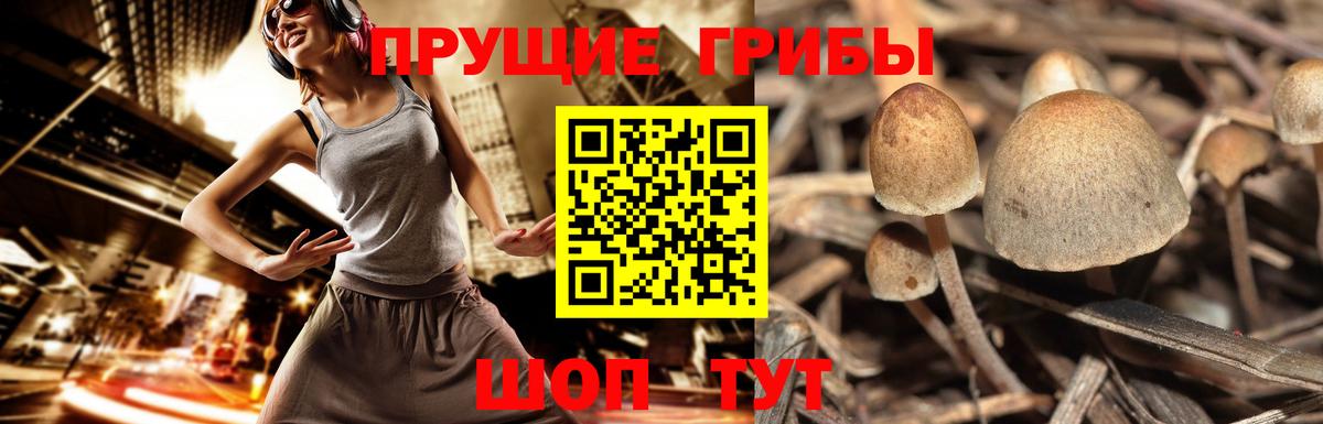 Верхний Уфалей  Псилоцибиновые грибы мухоморы  Вход с VPN 